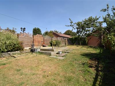Picture 15